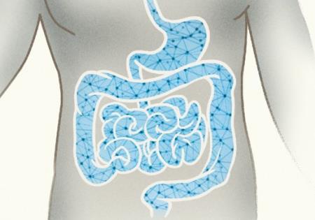 Hệ thần kinh ruột—“Bộ não thứ hai” của cơ thể chăng?