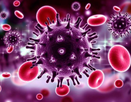 Tìm thấy biện pháp “vô hiệu hoá” virus HIV