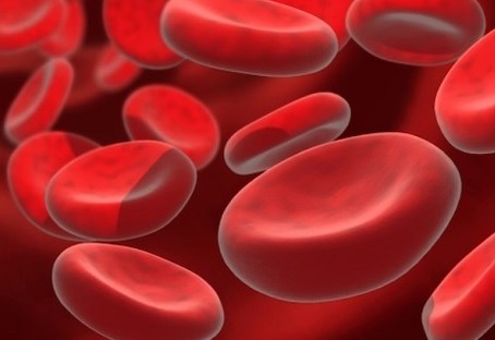 Các thuốc điều trị bệnh thiếu máu