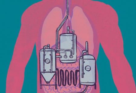 Đường ruột tự sinh ra rượu: Hội chứng kỳ lạ khiến nhiều người ăn cơm cũng say và mắc bệnh gan như người nghiện rượu