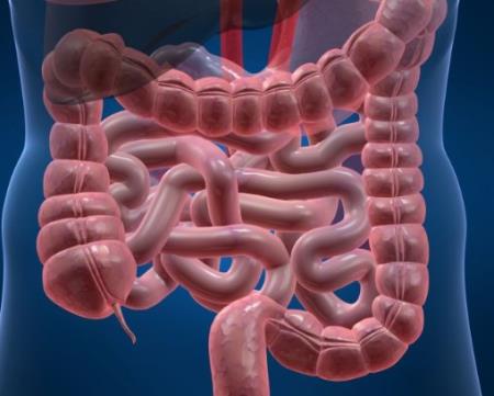 Các thuốc điều trị hội chứng ruột kích thích (IBS);