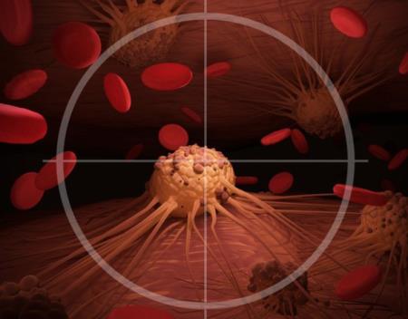 Tới 97% thử nghiệm thuốc chữa ung thư thất bại: Có phải các nhà nghiên cứu đã đi lạc đường?