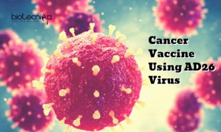 Các nhà khoa học vừa "crack" được mã code một virus đặc biệt, từ đó họ sẽ tạo ra vắc-xin chống ung thư