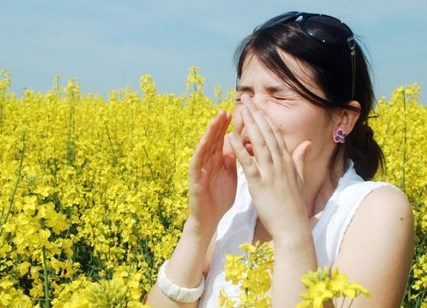 Bệnh viêm mũi dị ứng và cách điều trị