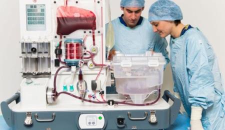 Lần đầu tiên, các bác sĩ bảo quản được gan ghép lên tới 1 tuần bên ngoài cơ thể