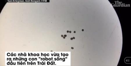 Các nhà khoa học vừa tạo ra một "dạng sống" hoàn toàn mới trên Trái Đất