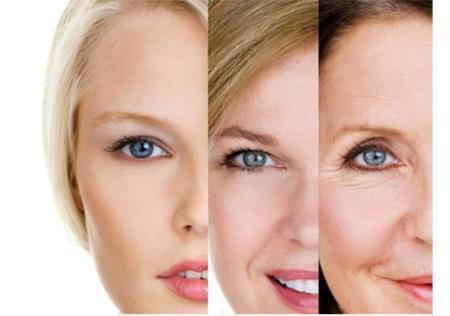 Tại sao chúng ta già đi: Những giả thuyết chính xác nhất giải thích quá trình lão hóa của cơ thể