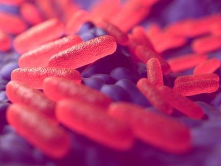 Vi khuẩn ho gà đã kháng vắc-xin, chúng ta sẽ cần một vắc-xin mới trong thập kỷ tới