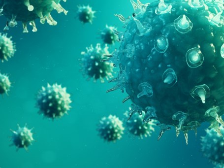 Virus 'tốt' có thể ảnh hưởng đến sức khỏe như thế nào