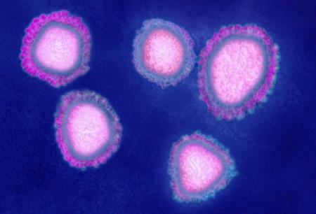 Virus gây bệnh phổi bí ẩn ở Trung Quốc là một chủng chưa từng được biết đến