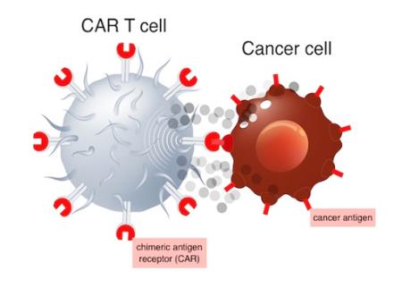 Kite có thể là công ty đầu tiên với nhiều liệu pháp CAR-T được thương mại hóa