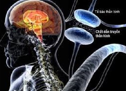 Bệnh Parkinson có thể bắt đầu trước khi trẻ được sinh ra