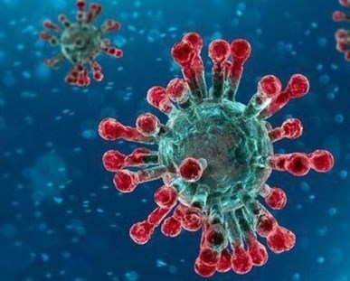 COVID-19: liệu con người có khả năng miễn dịch lâu dài với chủng Virus corona?