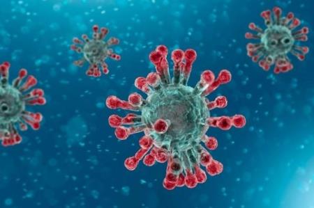 Trung quốc: Các nhà nghiên cứu cho biết thời gian ủ bệnh của coronavirus có thể là 24 ngày