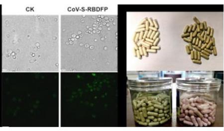 Mới nhất: Trung Quốc công bố sản xuất được vaccine uống chống virus COVID-19
