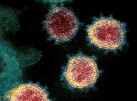 Nga giải mã thành công đầy đủ bộ gene của virus SARS-CoV-2