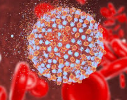 Đây là cách Covid-19 lây nhiễm và nhân lên trong tế bào phổi