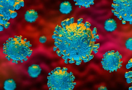 Virus corona đột biến chậm hơn cúm, vắc-xin Covid-19 sẽ có hiệu quả kéo dài