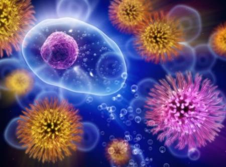 Đây là cách hệ miễn dịch chiến đấu chống lại virus nCoV