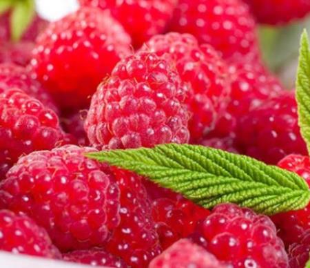 Một số thực phẩm giúp tăng cường miễn dịch, chống virus