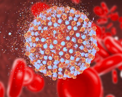 Virus SARS-CoV-2 nhạy cảm với nhiệt độ cao