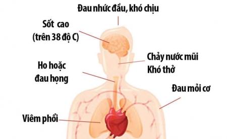 Con đường nCoV lây lan trong cơ thể con người