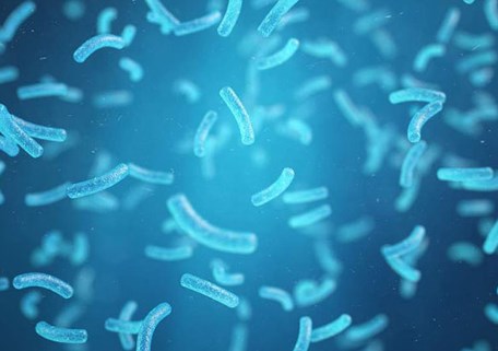 Sửa chữa các microbiome đường ruột không lành mạnh để chống lại bệnh tật