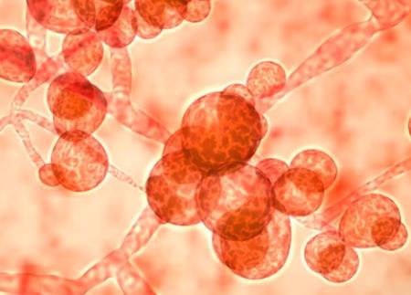 Mỹ phát triển thiết bị siêu nhỏ phát hiện nhanh vi khuẩn có hại trong máu