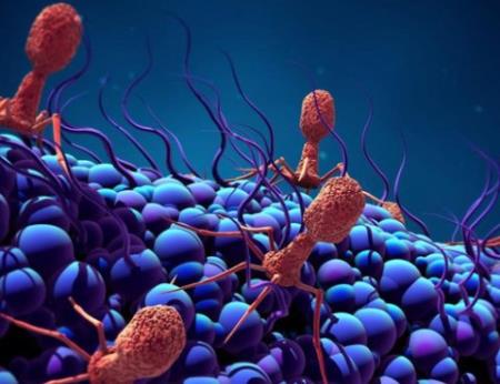 Những con virus khổng lồ với khả năng "ăn cắp" đặc tính loài khác