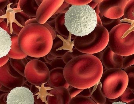 Số lượng bạch cầu, nhóm máu và gien ảnh hưởng đến khả năng chống lại Covid-19