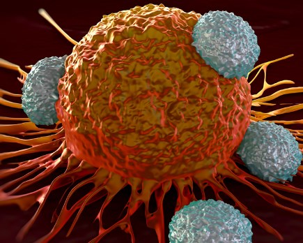 Điều trị ung thư bằng cách kích hoạt quá trình tự hủy