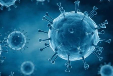 Vi rút corona: so sánh SARS, MERS và COVID-19