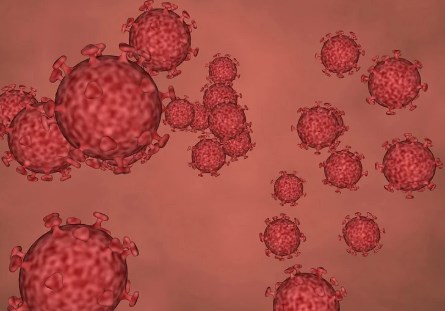 MỸ:Phát hiện protein giúp nCoV trốn hệ miễn dịch