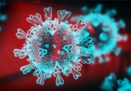 Nghiên cứu cho thấy một loại thuốc chống ký sinh trùng có thể tiêu diệt coronavirus trong 48 giờ