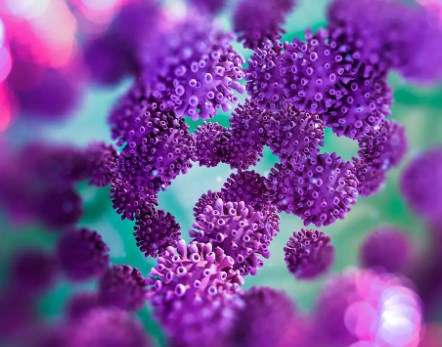 Các nhà nghiên cứu xác định các tế bào có khả năng bị virus COVID-19 nhắm mục tiêu