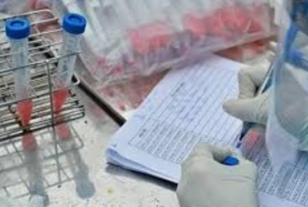 Việt Nam có bao nhiêu phòng xét nghiệm đủ tiêu chuẩn 'tìm' COVID-19?