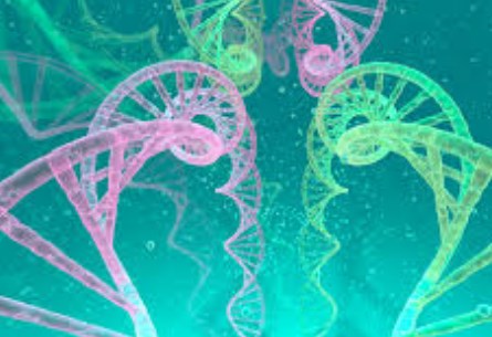 Scancell phát triển ứng viên vắc-xin DNA cho Covid-19