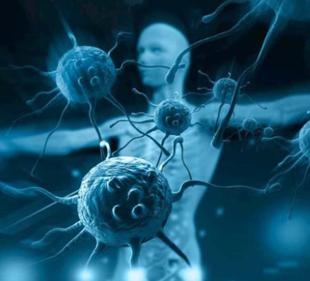 Tại sao bệnh truyền nhiễm từ động vật rất nguy hiểm cho con người?