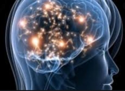 Nguồn gốc của con đường ngôn ngữ của con người trong não ít nhất 25 triệu năm tuổi