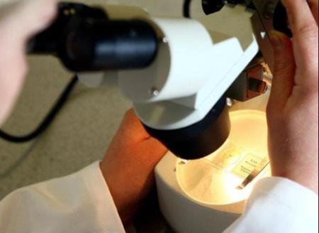 Pneumagen báo cáo dữ liệu tích cực từ phòng thí nghiệm của các ứng viên thuốc Covid-19