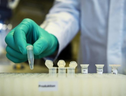 Kamada và Kedrion hợp tác phát triển sản phẩm immunoglobulin cho Covid-19