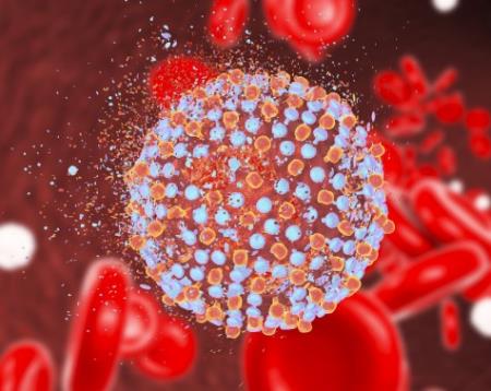 Cấu trúc lạ trên gai protein SARS-CoV-2 là yếu điểm cho các nhà khoa học sản xuất thuốc và vắc-xin chống lại nó