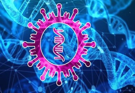 Các nhà khoa học phát hiện 3 chủng của virus SARS-CoV-2 ở Trung quốc, châu Âu và Mỹ