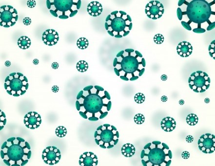 Virus : những kẻ khổng lồ vô hình