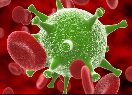 Virus gây bệnh cho con người và cuộc chiến của hệ miễn dịch