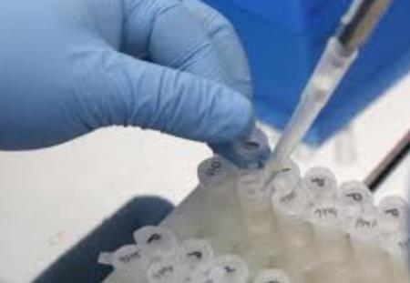 Vắc-xin tiềm năng của Mỹ có thể được thử nghiệm vào cuối mùa thu hoặc đầu mùa đông