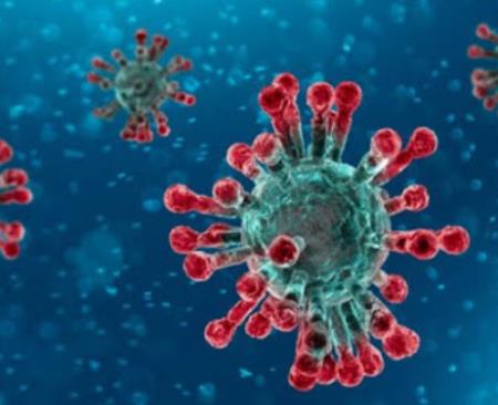 Phát hiện kháng thể ngăn lây nhiễm COVID-19