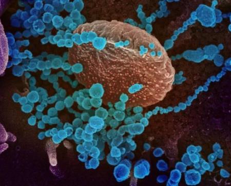 Hàn Quốc: Thử nghiệm thuốc Nafamuler cho Covid-19