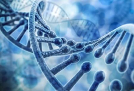 Magenta và AVROBIO đánh giá thuốc kết hợp kháng thể MGTA-117