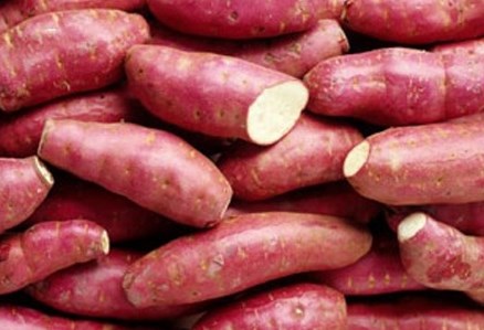 Khoai lang tốt cho bệnh nhân tiểu đường